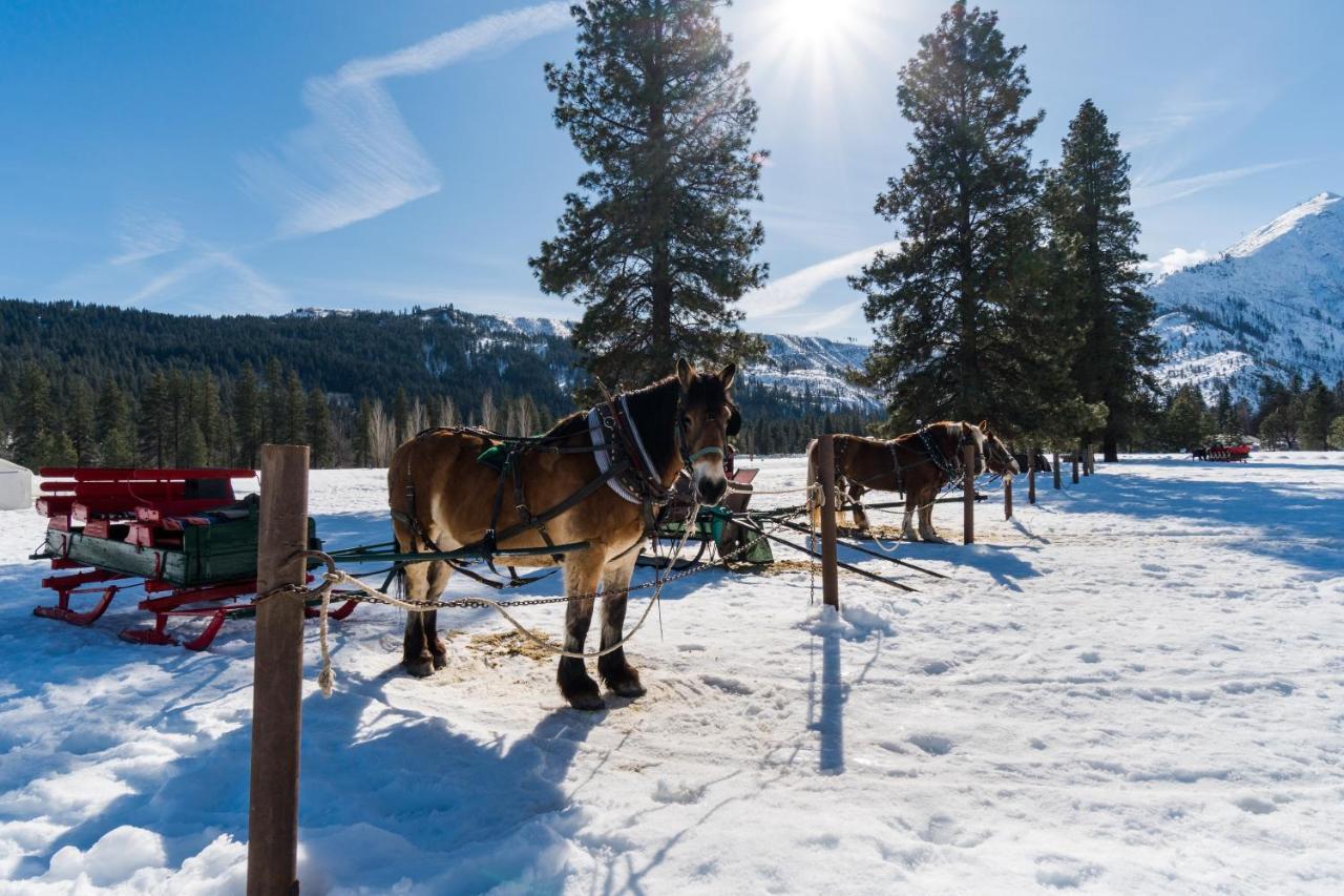 Icicle Road Haus Villa Leavenworth Dış mekan fotoğraf